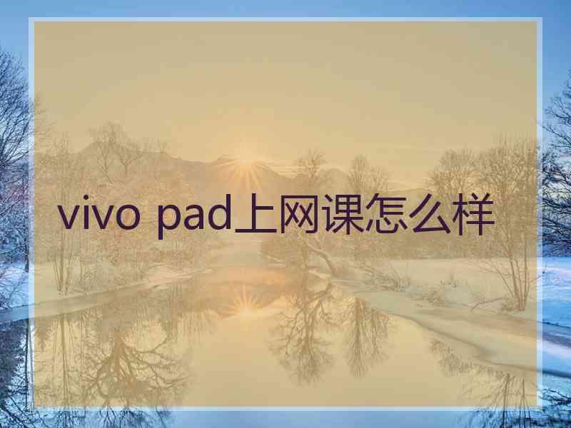 vivo pad上网课怎么样