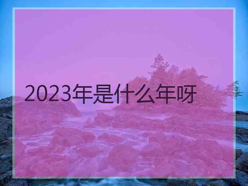 2023年是什么年呀