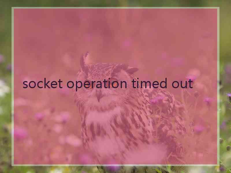 socket operation timed out