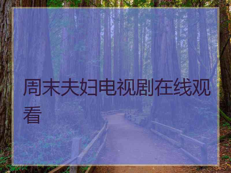 周末夫妇电视剧在线观看