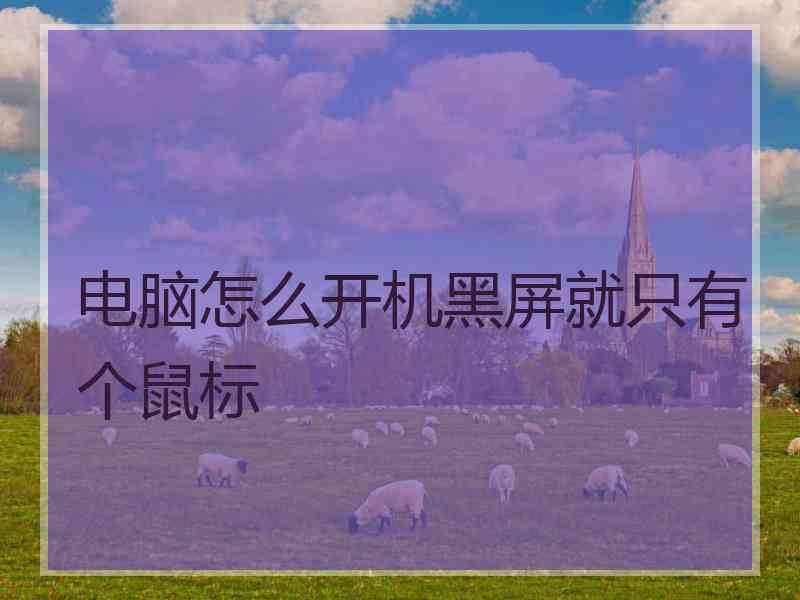 电脑怎么开机黑屏就只有个鼠标