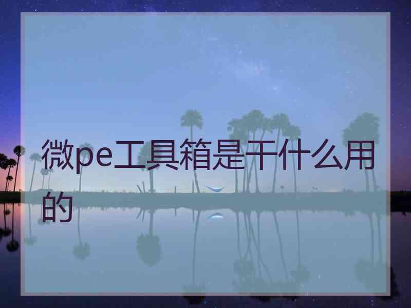 微pe工具箱是干什么用的
