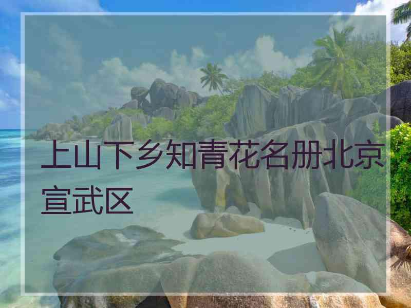上山下乡知青花名册北京宣武区