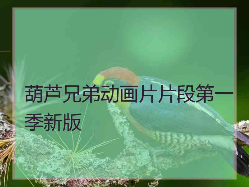 葫芦兄弟动画片片段第一季新版