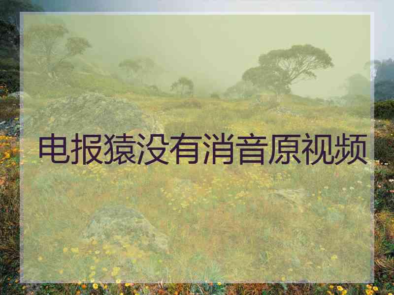电报猿没有消音原视频