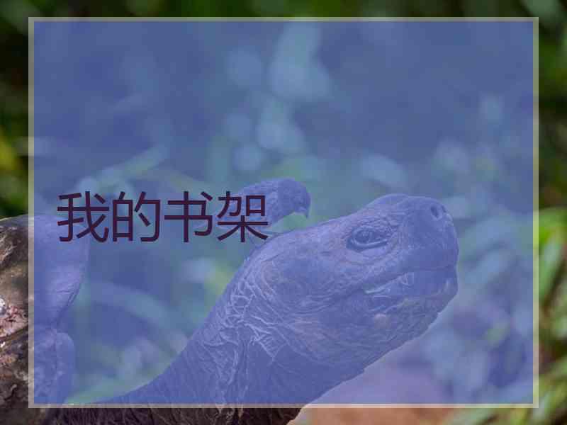 我的书架