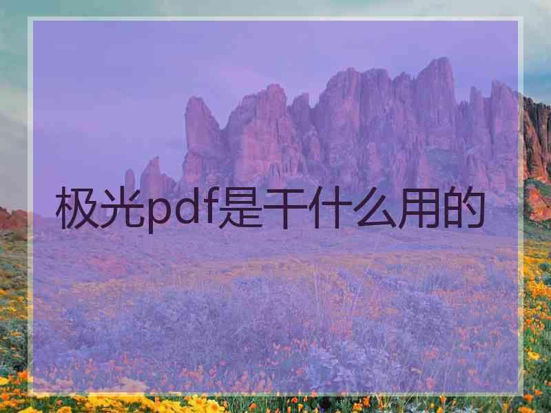 极光pdf是干什么用的