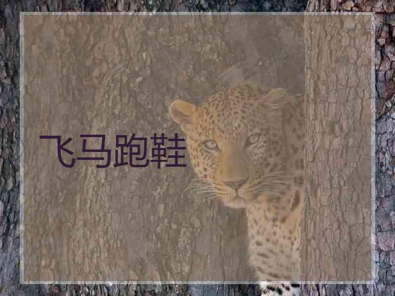飞马跑鞋