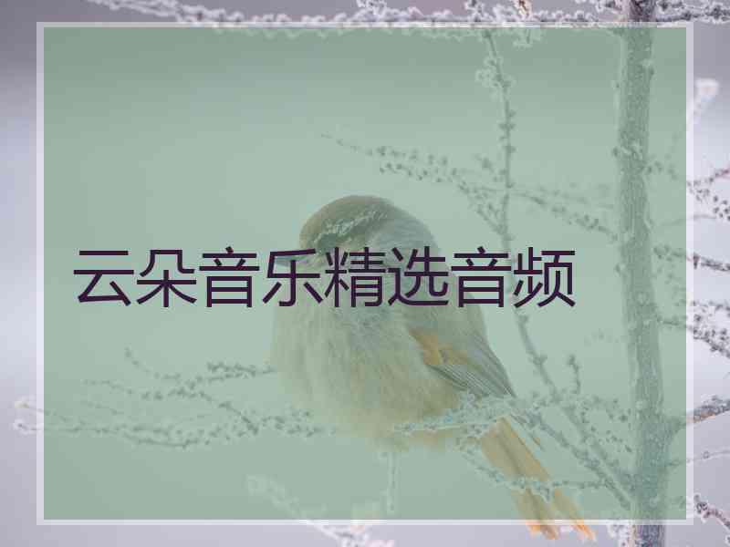 云朵音乐精选音频