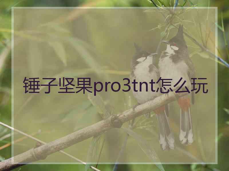 锤子坚果pro3tnt怎么玩