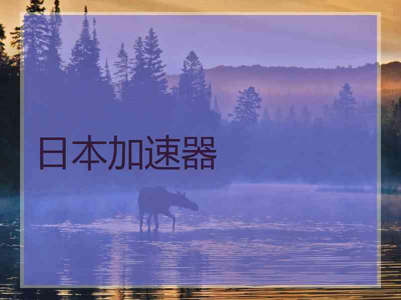 日本加速器