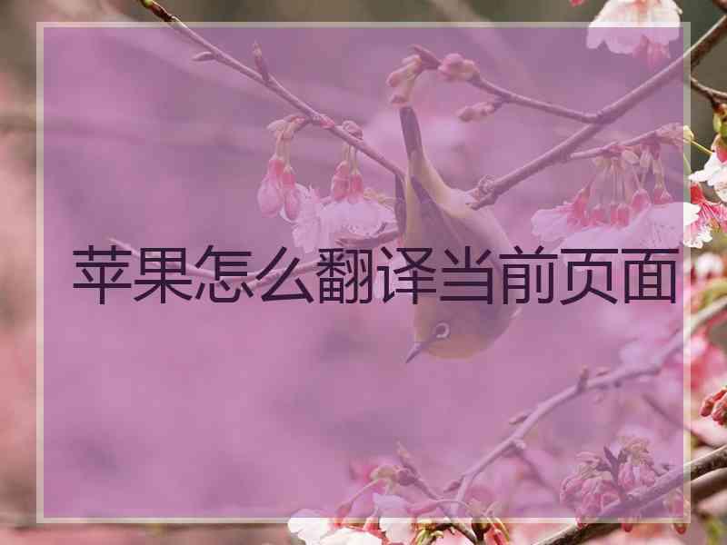 苹果怎么翻译当前页面