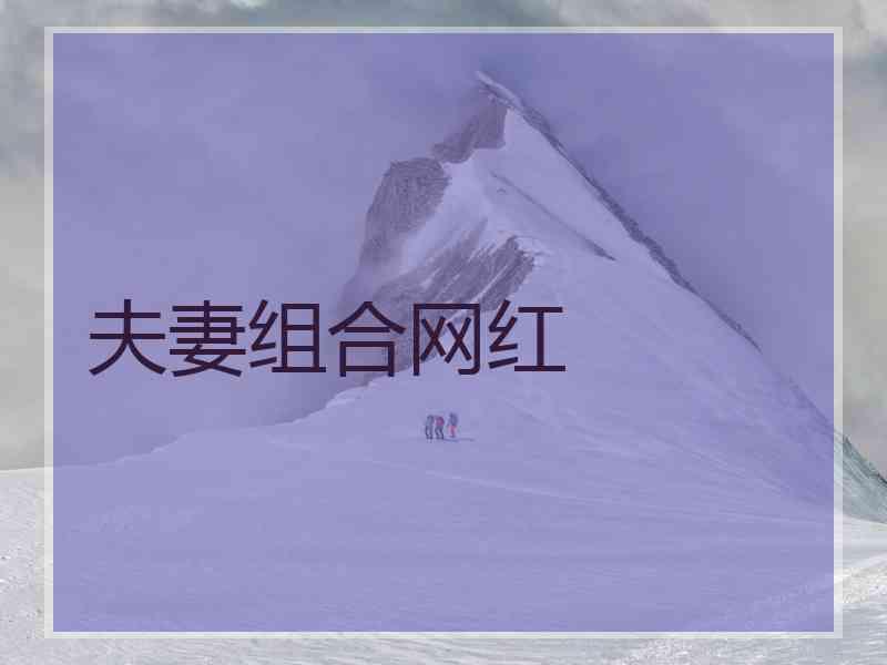 夫妻组合网红