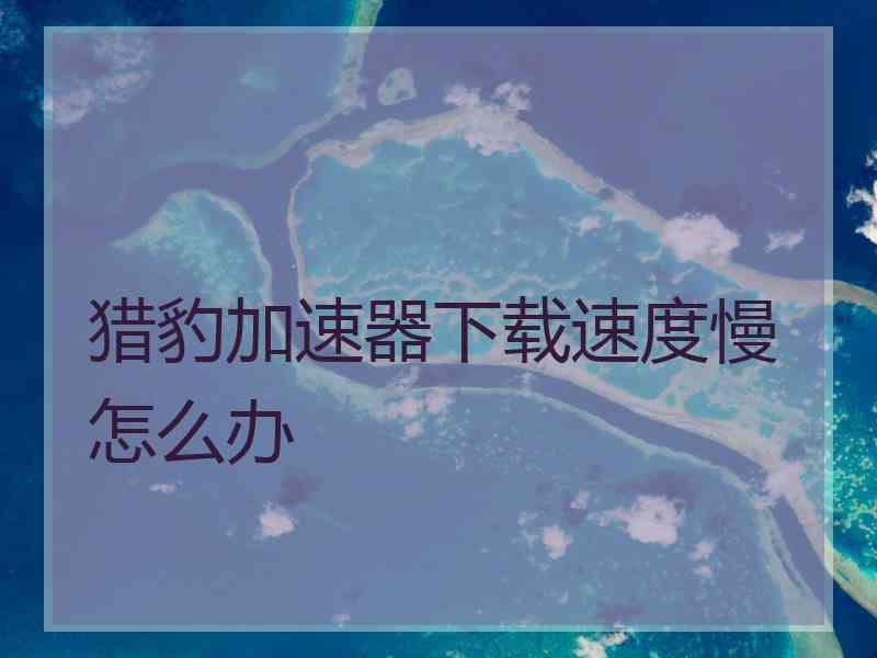 猎豹加速器下载速度慢怎么办