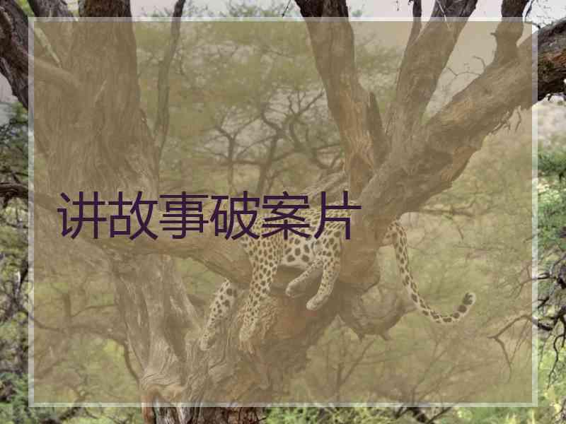 讲故事破案片