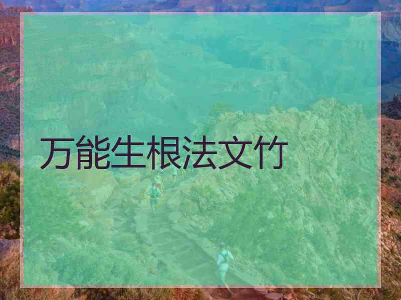 万能生根法文竹