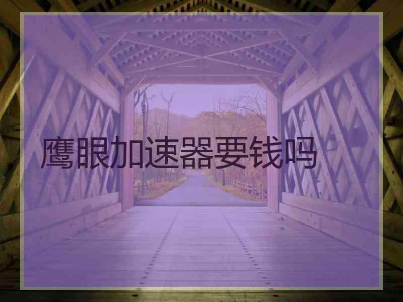 鹰眼加速器要钱吗