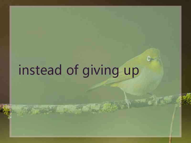 instead of giving up