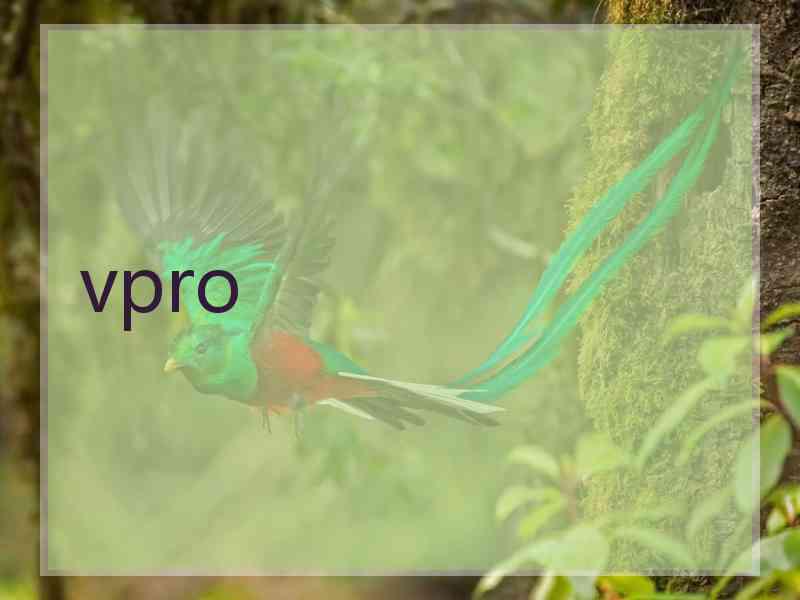 vpro