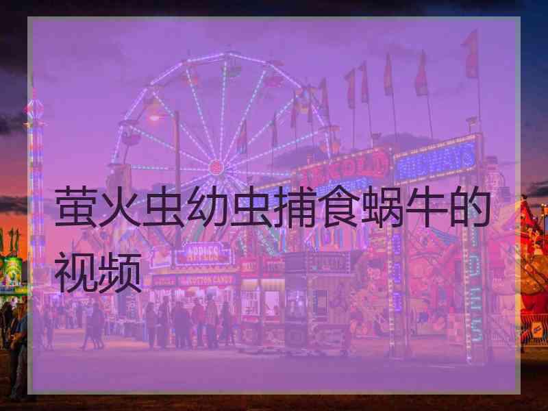 萤火虫幼虫捕食蜗牛的视频