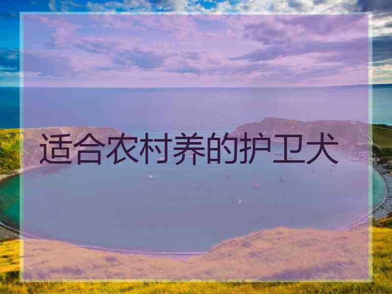 适合农村养的护卫犬