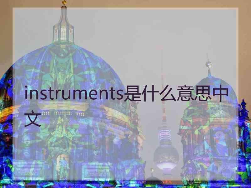 instruments是什么意思中文
