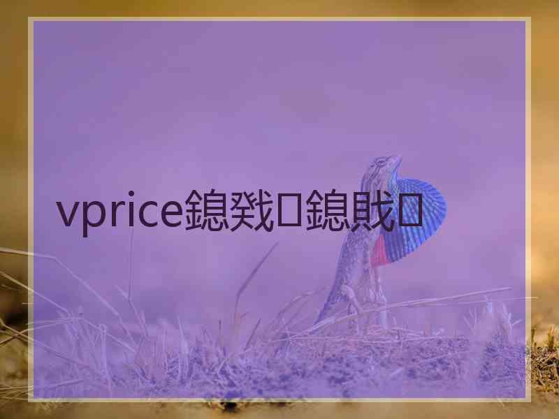 vprice鎴戣鎴戝
