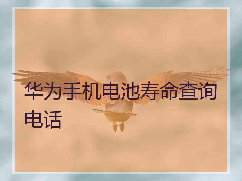 华为手机电池寿命查询电话