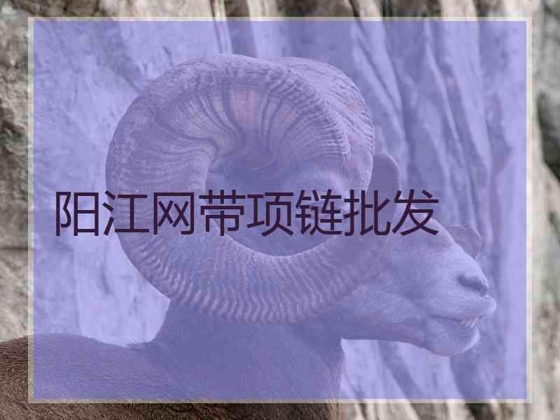 阳江网带项链批发