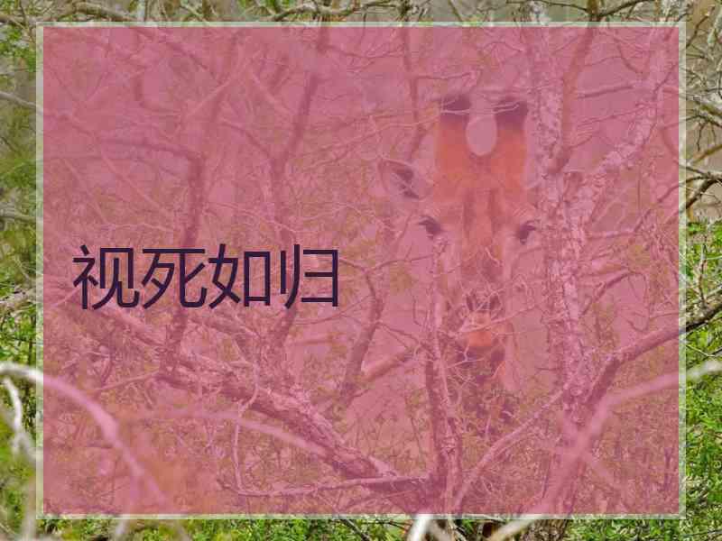 视死如归