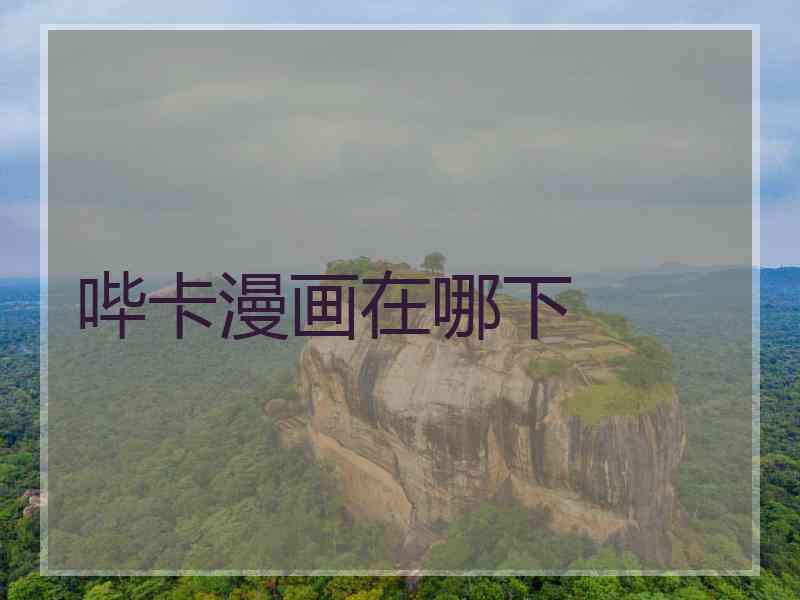 哔卡漫画在哪下