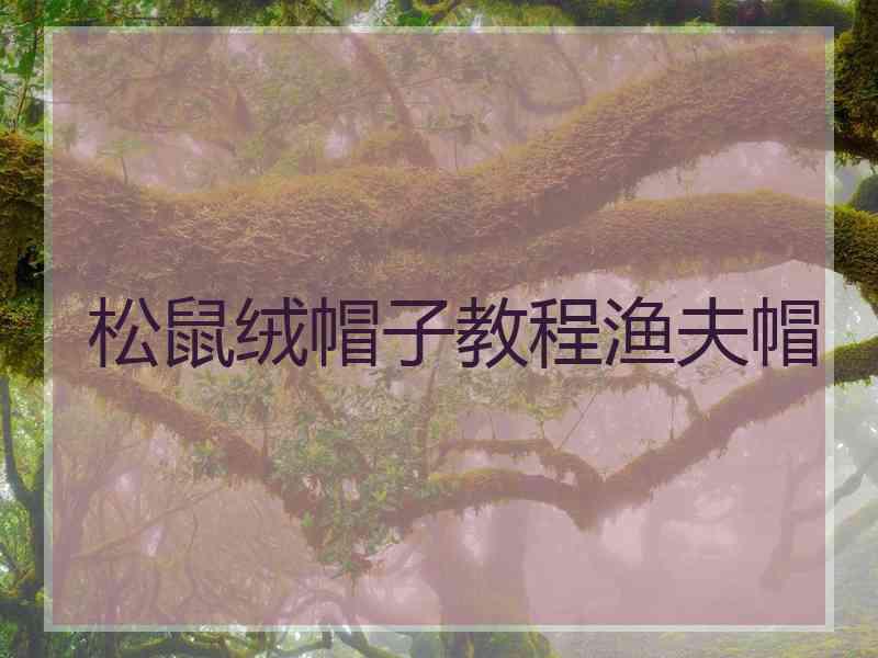 松鼠绒帽子教程渔夫帽