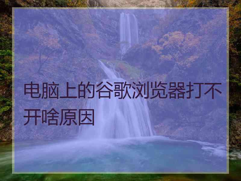 电脑上的谷歌浏览器打不开啥原因