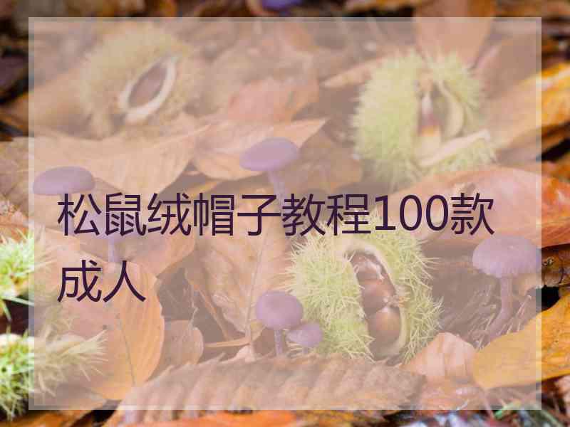 松鼠绒帽子教程100款成人