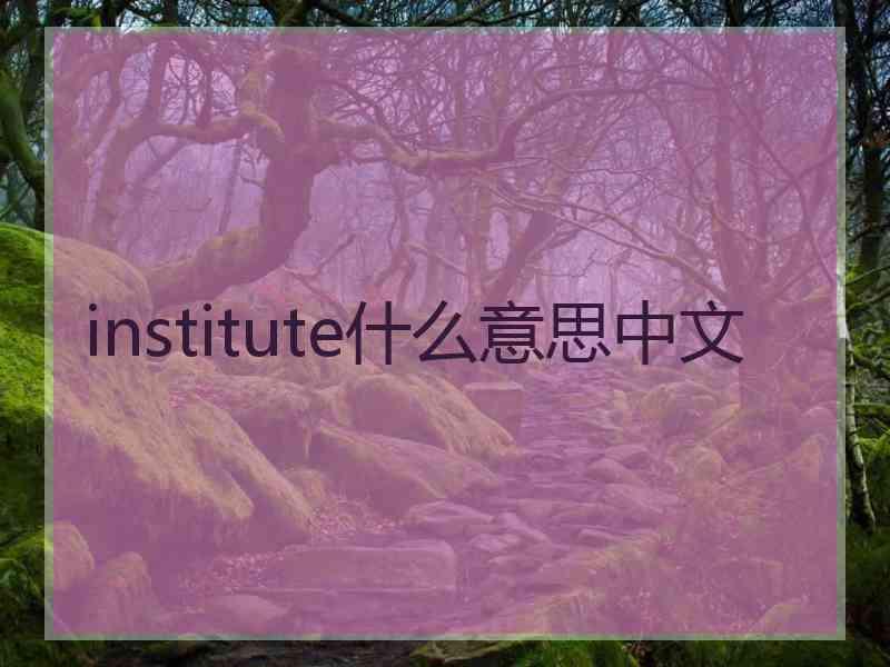 institute什么意思中文