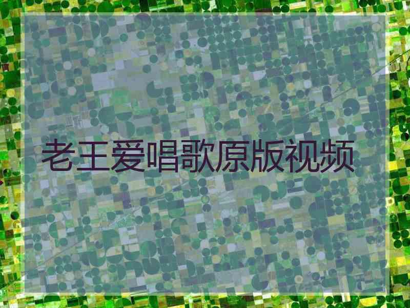 老王爱唱歌原版视频