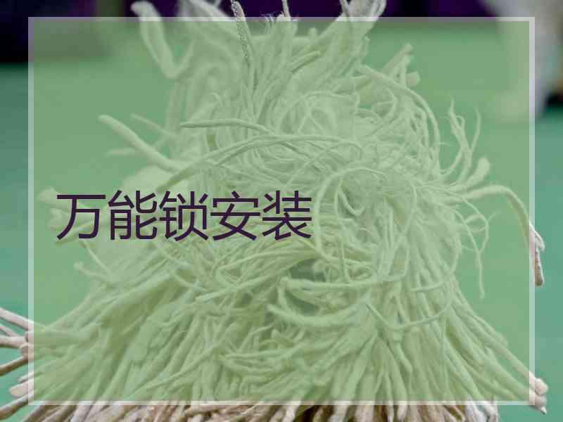 万能锁安装