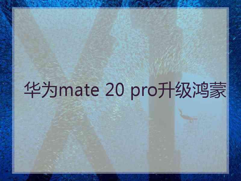 华为mate 20 pro升级鸿蒙
