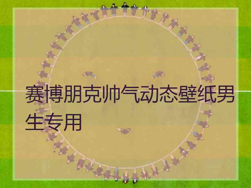 赛博朋克帅气动态壁纸男生专用