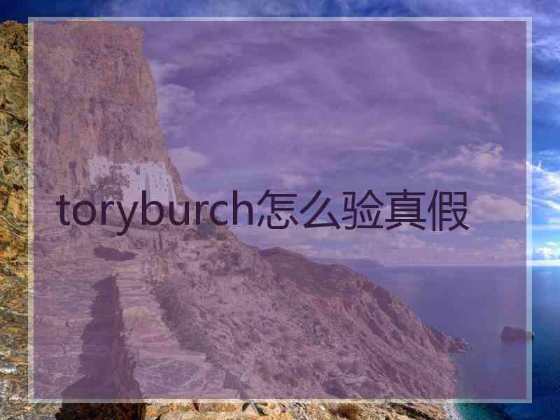toryburch怎么验真假