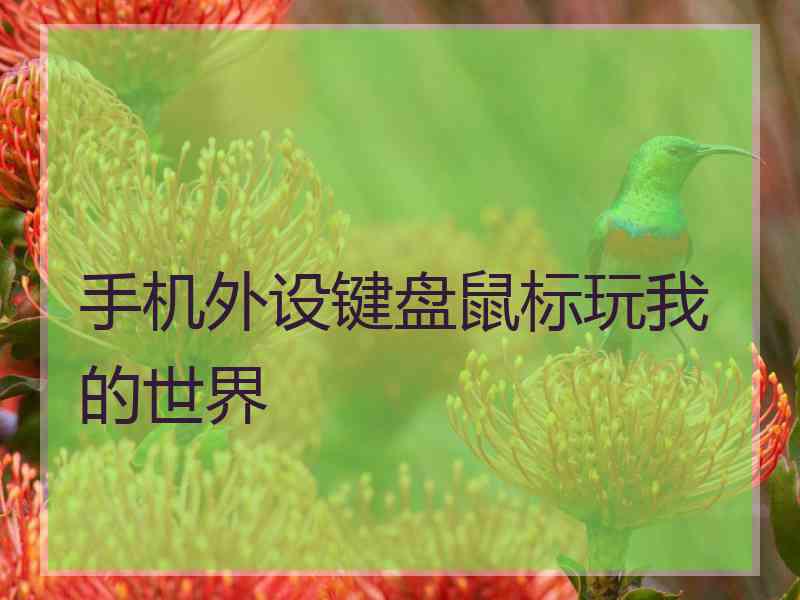 手机外设键盘鼠标玩我的世界