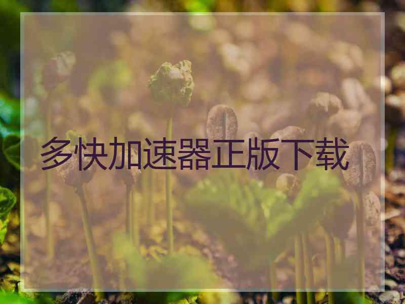 多快加速器正版下载
