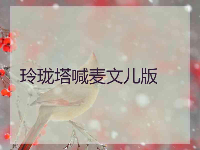 玲珑塔喊麦文儿版