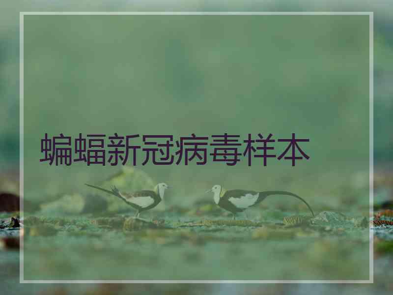 蝙蝠新冠病毒样本