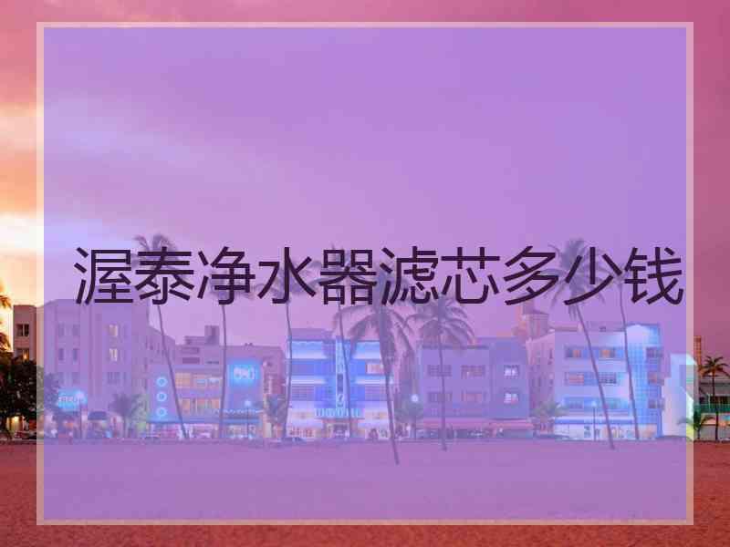 渥泰净水器滤芯多少钱