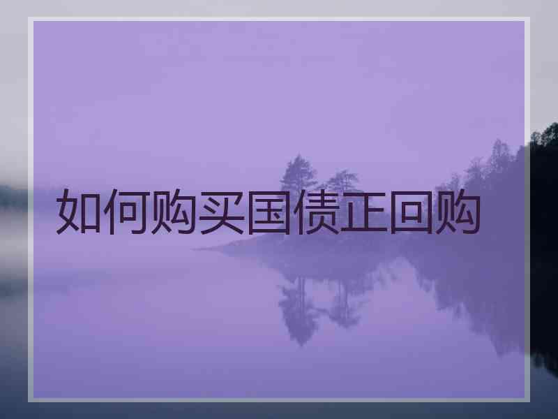 如何购买国债正回购