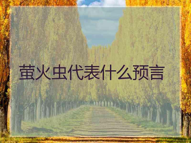 萤火虫代表什么预言