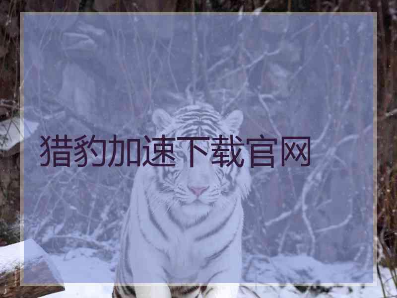 猎豹加速下载官网