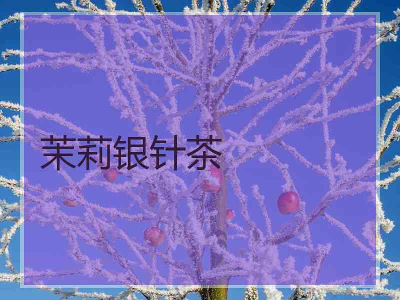 茉莉银针茶