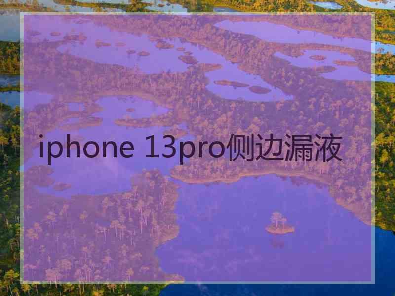 iphone 13pro侧边漏液